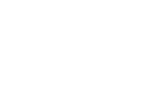 Purchase District Fair Logo
